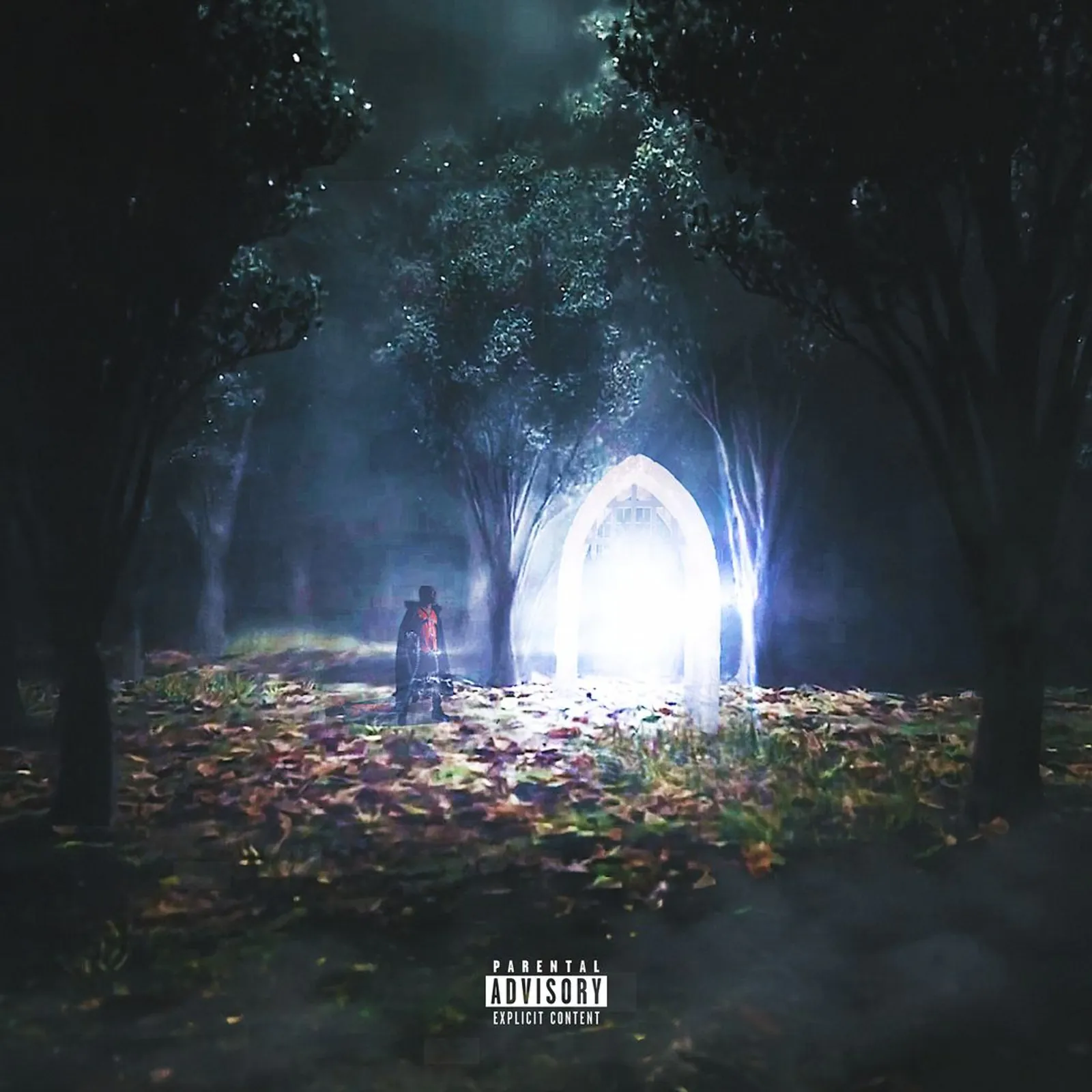 Track image